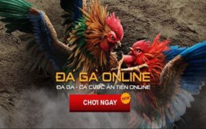 bong789,Bóng 789,nhà cái bong789,bong789 nổ hũ,bong789vn,bong789 vn,Trang chủ bong789